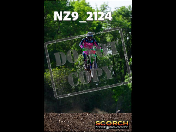 Experts-258