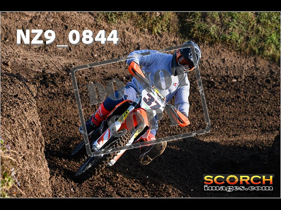 Experts-059
