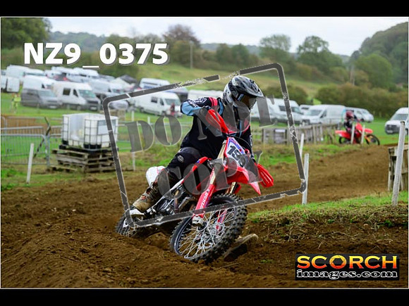 Experts-323