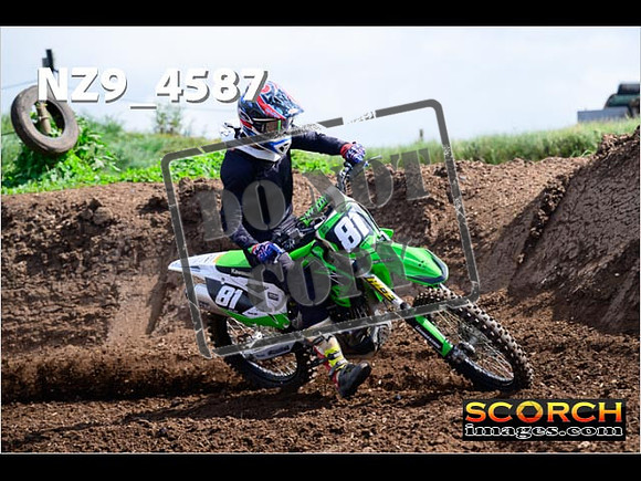 IntersGreen-029