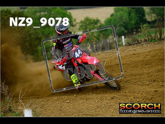 Experts-121