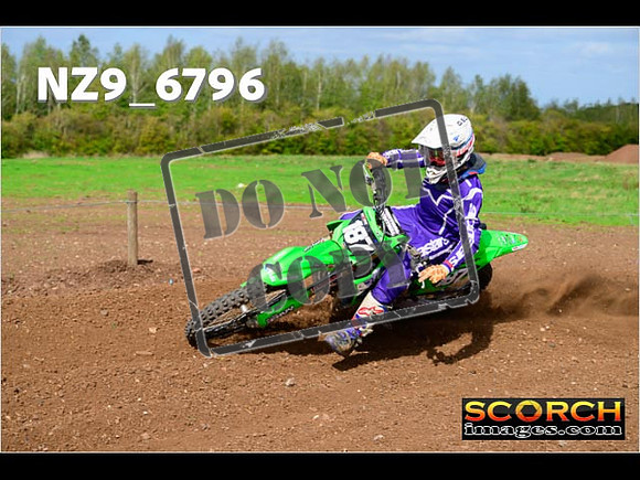 Experts-293