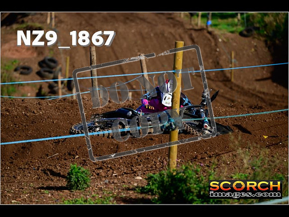 Inters-241
