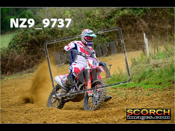 Experts-160