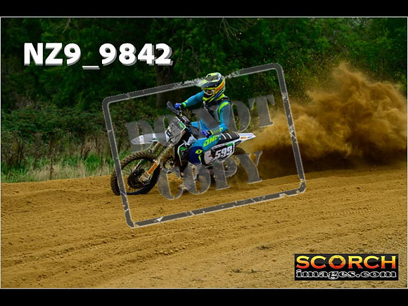 Experts-261