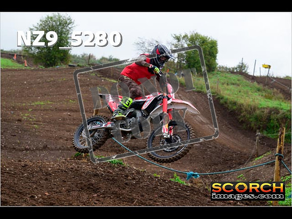 Experts-030