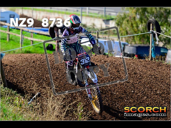 Experts-238