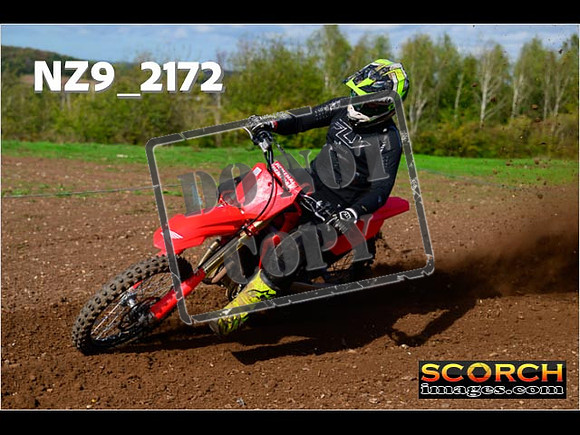 Experts-301