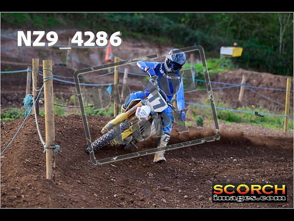 Experts-148