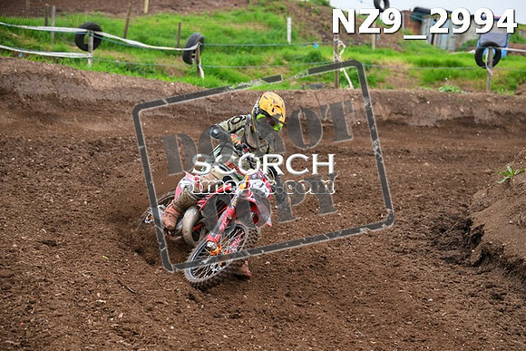 NZ9_2994