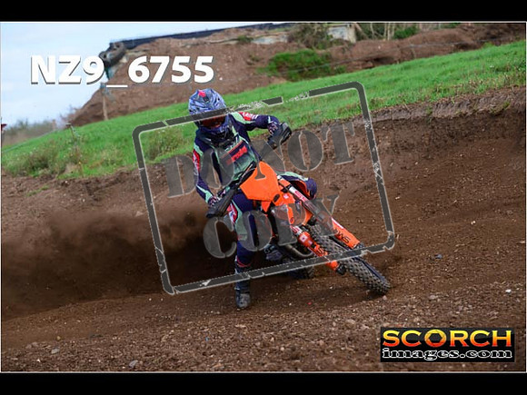 Experts-254