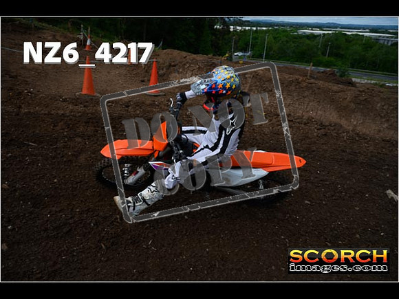 Orange Group-056