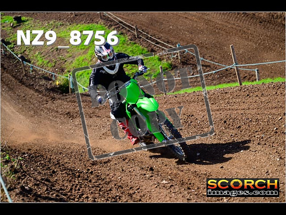 Experts-257