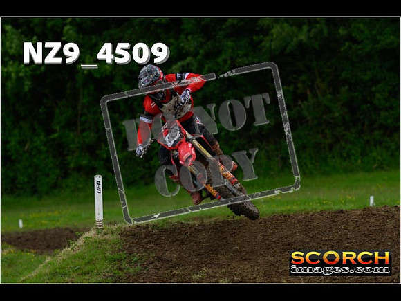 Experts-226