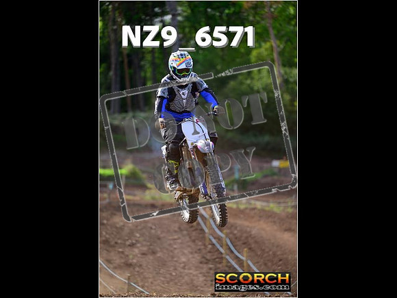 IntersGreen-126