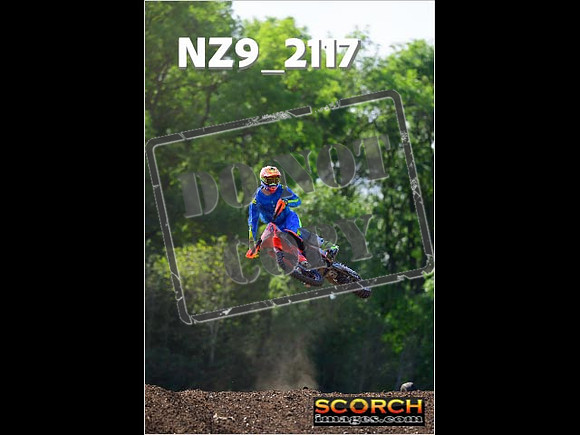 Experts-251