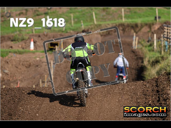 Experts-299