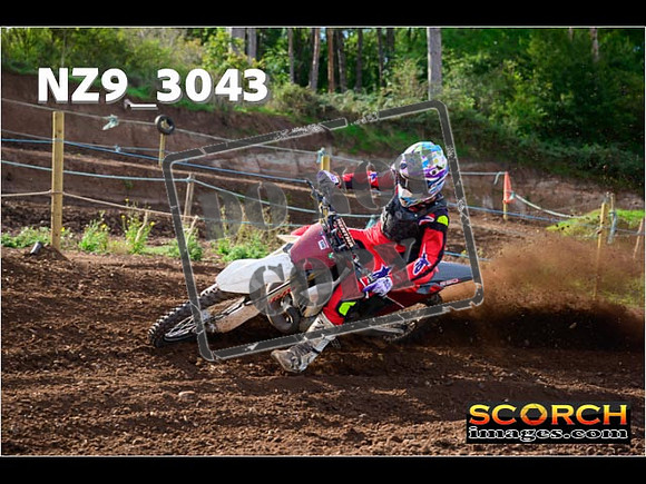 Experts-236