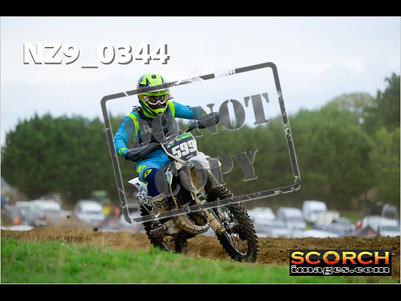 Experts-295
