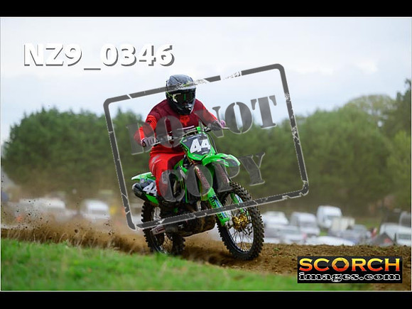 Experts-297