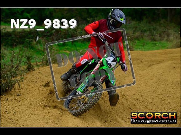 Experts-258