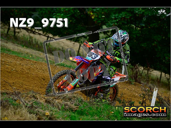 Experts-174