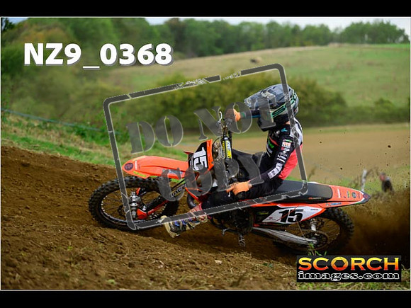 Experts-316