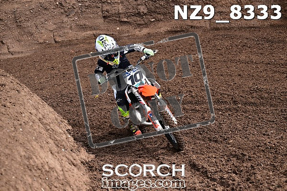 NZ9_8333