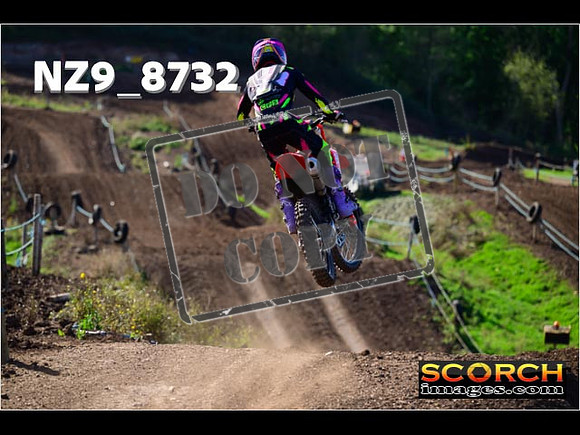 Experts-234