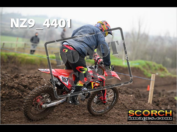Experts-245