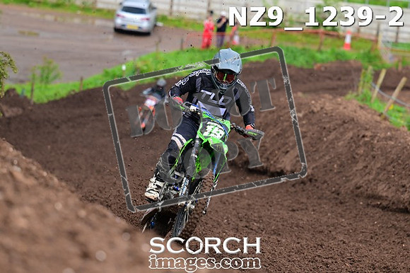 NZ9_1239-2
