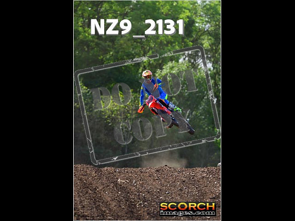 Experts-265