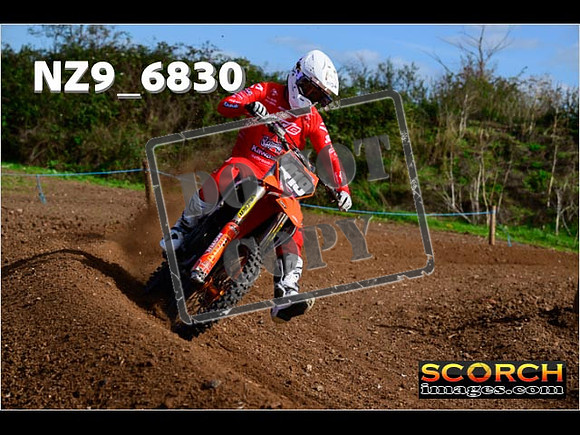 Experts-325