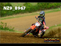 Experts-013