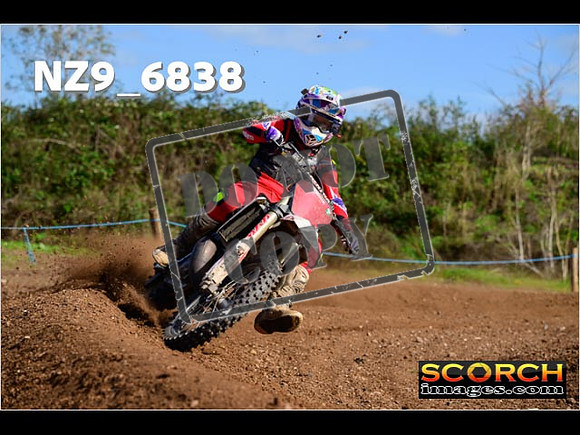 Experts-333