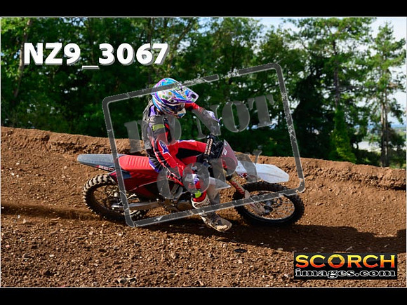 Experts-259