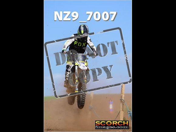 IntersGreen-250