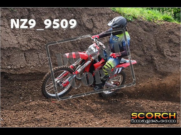 Experts-031
