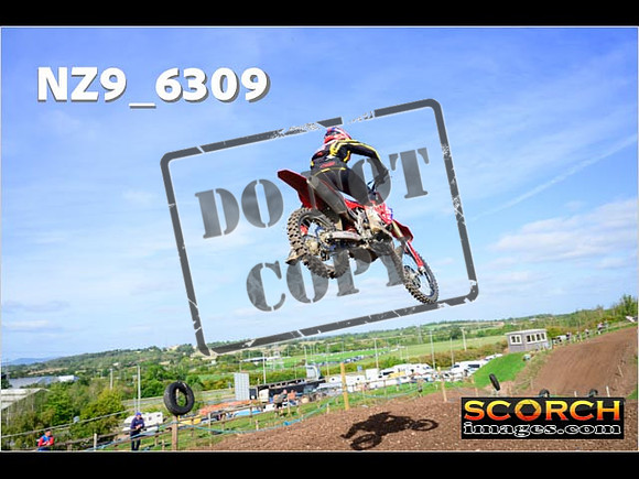 Experts-157