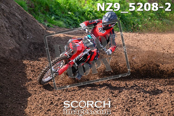 NZ9_5208-2