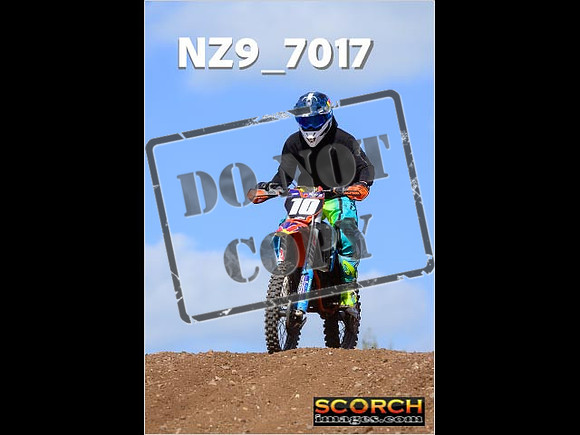 IntersGreen-260