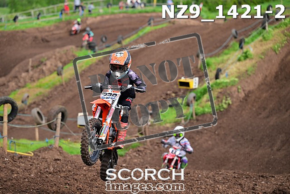 NZ9_1421-2