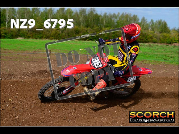 Experts-292