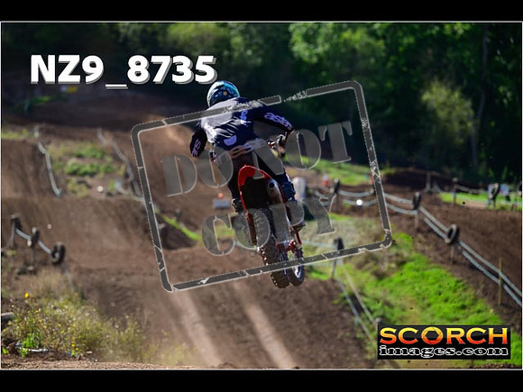 Experts-237