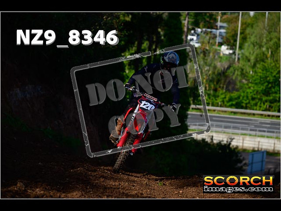 Experts-113
