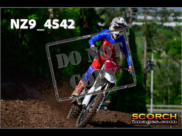Experts-049