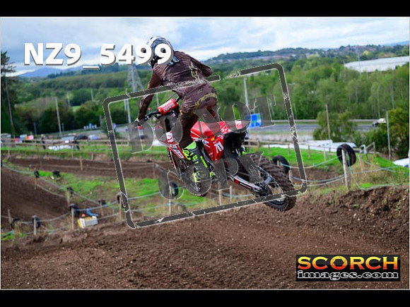Experts-058
