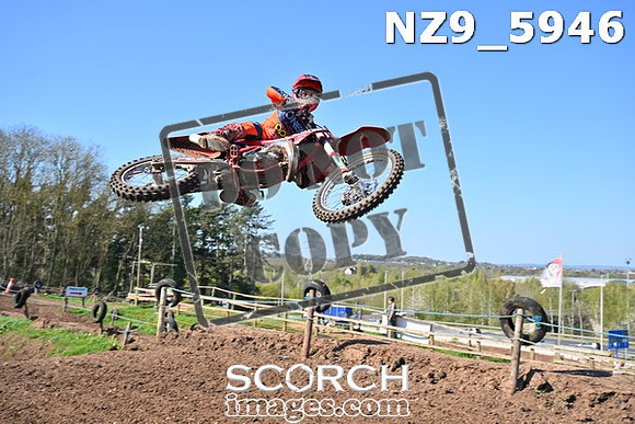 NZ9_5946