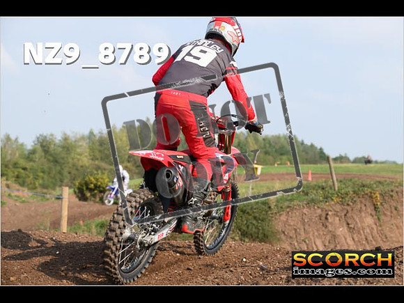 Intermediates-097