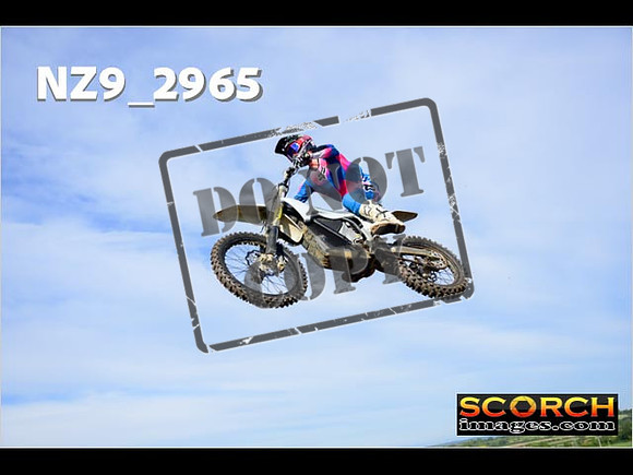 Experts-163